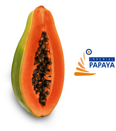 Papaya Imagen 1